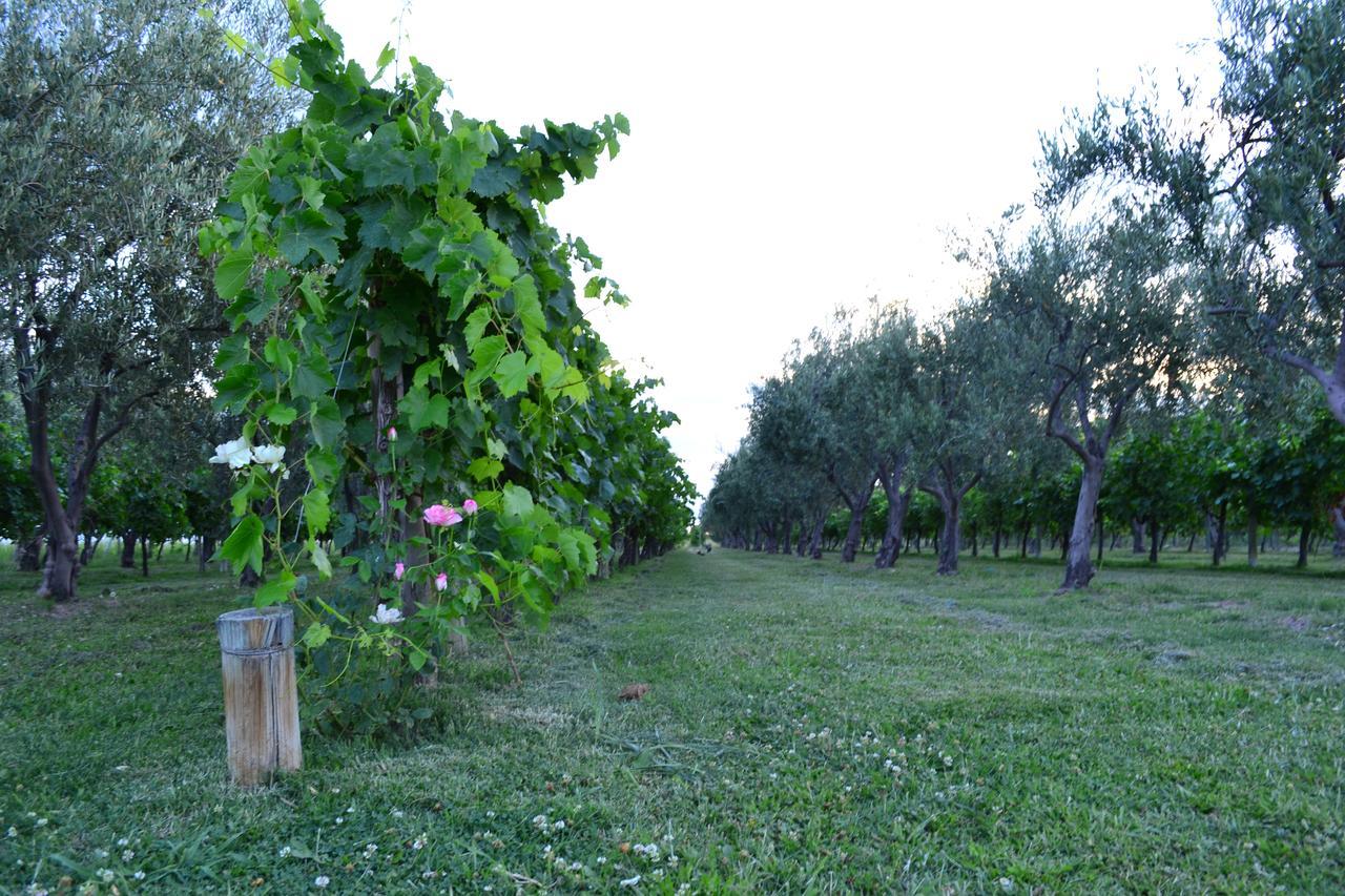 Finca Fisterra 마이푸 외부 사진