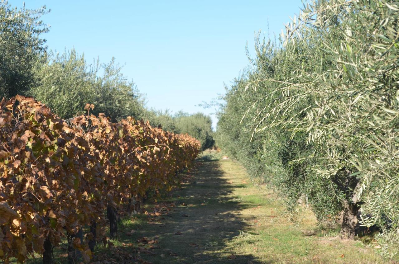 Finca Fisterra 마이푸 외부 사진